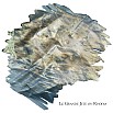Van Dieman's Encore - Le Grande Jeté Shimmering 40ml Ink Bottle