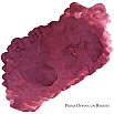 Van Dieman's Encore - Prima Donna 40ml Ink Bottle