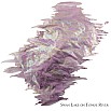 Van Dieman's Encore - Swan Lake Shimmering 40ml Inktpot