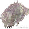 Van Dieman's Encore - Swan Lake Shimmering 40ml Inktpot