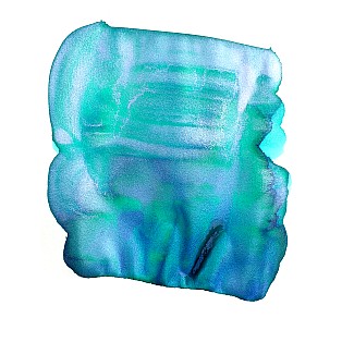 Van Dieman's Underwater - Parrot Fish Shimmering 30ml Ink Bottle