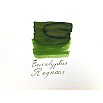 Van Dieman's Wilderness - Eucalyptus Regnans 30ml Tintenflasche