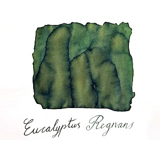 Van Dieman's Wilderness - Eucalyptus Regnans 30ml Ink Bottle