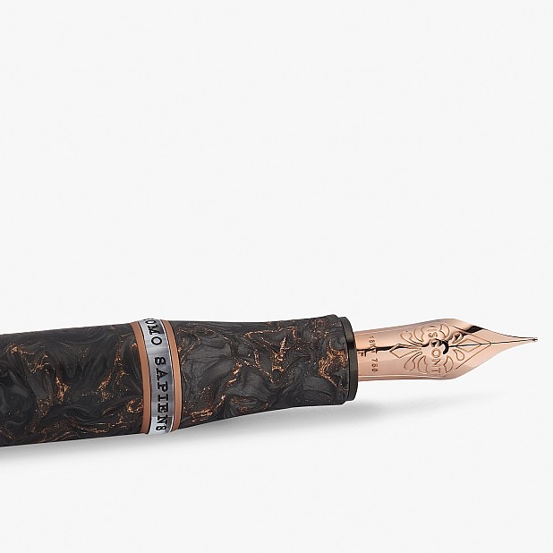 Stylo plume Visconti Homo Sapiens Carbon Rose édition limitée