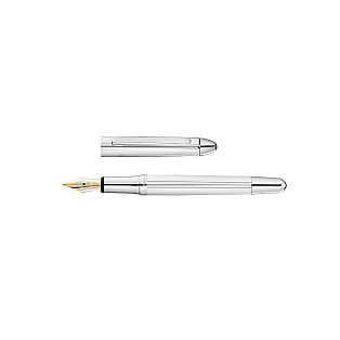 Waldmann Pocket Silver Caneta de Tinta Permanente