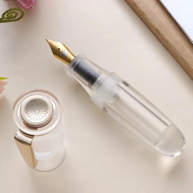 Wancher PoChaCo Crystal Clear GT Eyedropper Vulpen