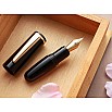 Wancher PuChiCo Penguin Black GT Fountain Pen