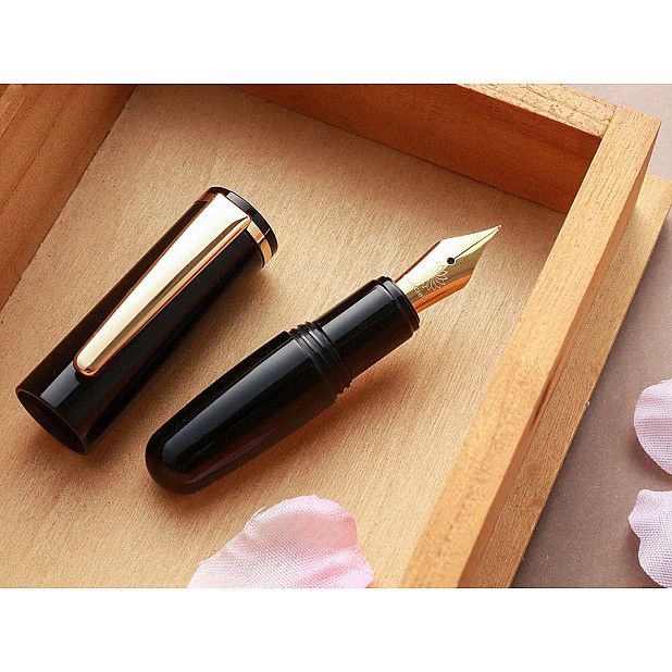 Wancher PuChiCo Penguin Black GT Plumo Estilográfica