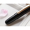 Wancher PuChiCo Penguin Black GT Fountain Pen