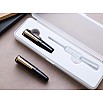 Wancher PuChiCo Penguin Black GT Fountain Pen