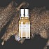 Wearingeul Inks Glitter Potion Brave Gold Silver 10ml Bottle