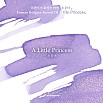 Wearingeul Inks A Little Princess by Frances Hodgson Burnett - 30ml Ink Bottle