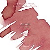 Wearingeul Inks Carmilla by Joseph Sheridan Le Fanu - 30ml Ink Bottle