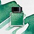 Wearingeul Inks The Wonderful Wizard of Oz by L. Frank Baum - 30ml Inktfles