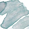 Wearingeul Inks White Nights by Fyodor Dostoevsky 30ml Tintenflasche