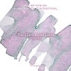 Wearingeul Inks The Glass Bead Game by Hermann Hesse - 30ml Tintenflasche