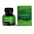 Yard O Led Fountain Pen Ink Meadow Green 30ml Frasco de tinta