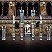 Montegrappa Theory of Evolution LE Rollerball