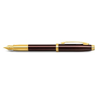 Sheaffer 100 Coffee Brown PVD GT Fountain pen