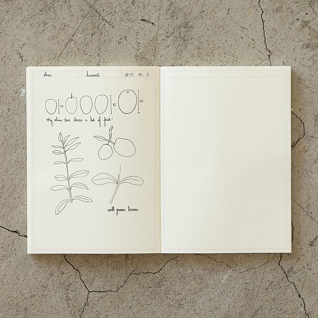 Midori MD Paper Journal A5 Frame Notebook