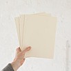 Midori MD Paper A4 Blank Notebook Light (3-pack)