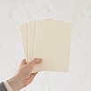 Midori MD Paper A5 Blank Notebook Light (3-pack)