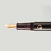 Nahvalur Nautilus Stylophora Berry RGT Fountain Pen