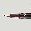 Nahvalur Nautilus Stylophora Berry RGT Fountain Pen