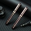 Nahvalur Nautilus Stylophora Berry RGT Fountain Pen