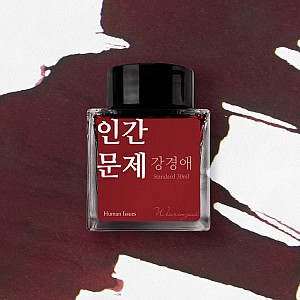 Wearingeul Inks Korean Literature Human Issue 30ml Ink Bottle