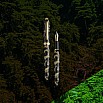 Laban Taroko Dark Forest Fountain pen