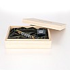 Taccia New Kazae Seasonal Western Wind Fountain pen