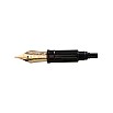 Aurora Large 18kt Yellow Gold Nib