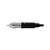 Aurora Large 18kt Yellow Gold Nib