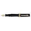 Nettuno 1911 N-E Pelagos ST Fountain pen