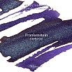 Wearingeul Inks World Literature Frankenstein by Mary Shelley 30ml Ink Bottle