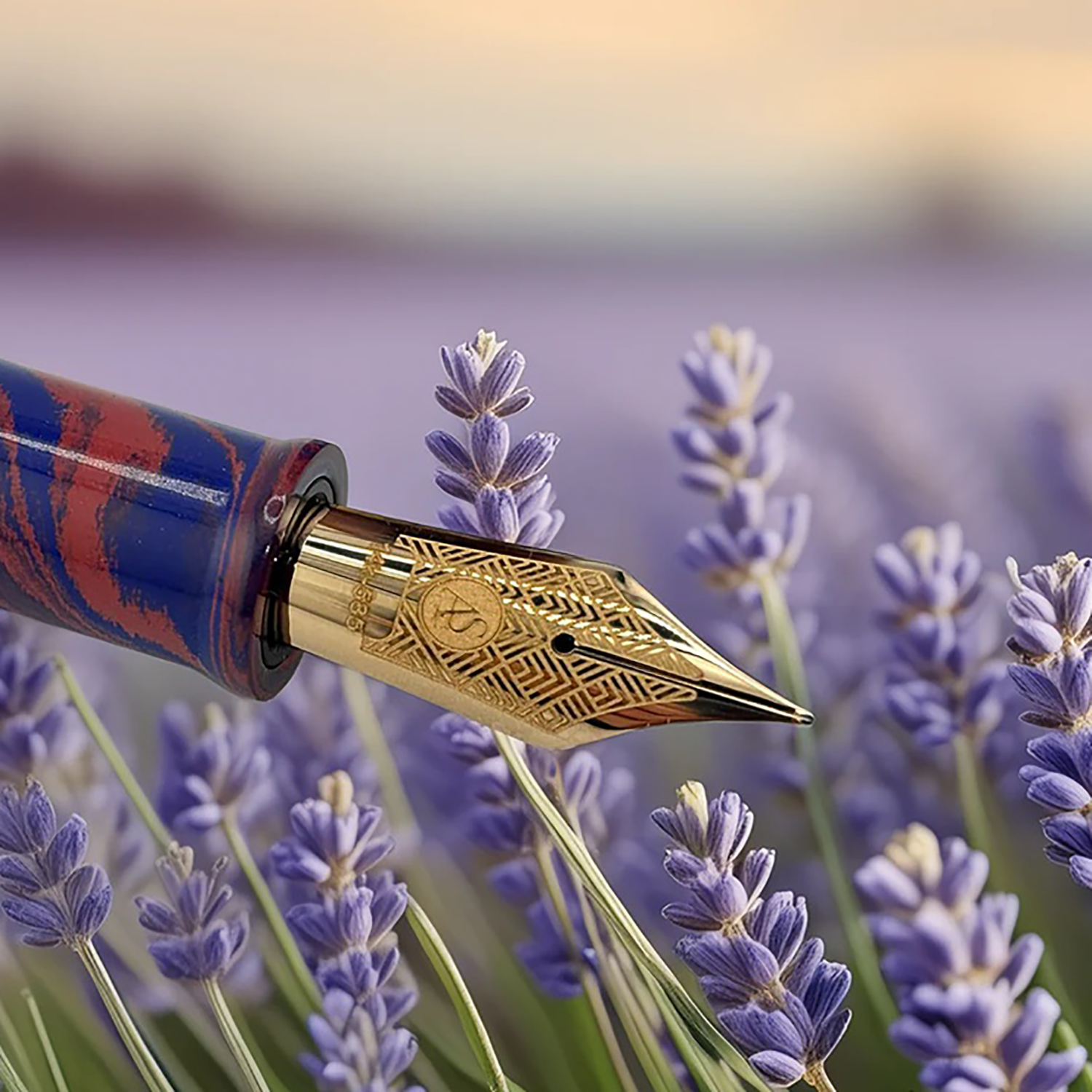 Armando Simoni Club Dreams Of Provence France Bespoke 2025 Caneta de tinta permanente