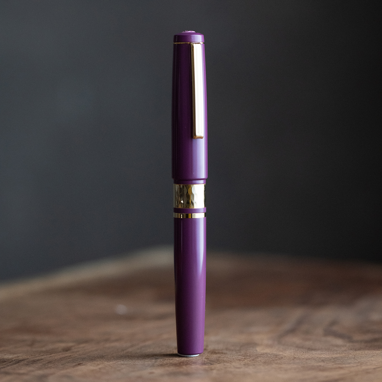 Esterbrook Model J Blackberry Ebonite GT Stylo Plume