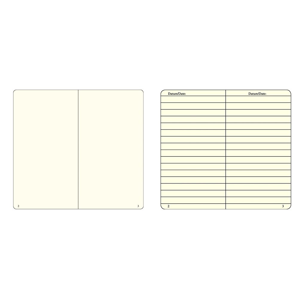 Leuchtturm1917 100th Anniversary Metallic Limited Edition Silver Notebook Medium A5