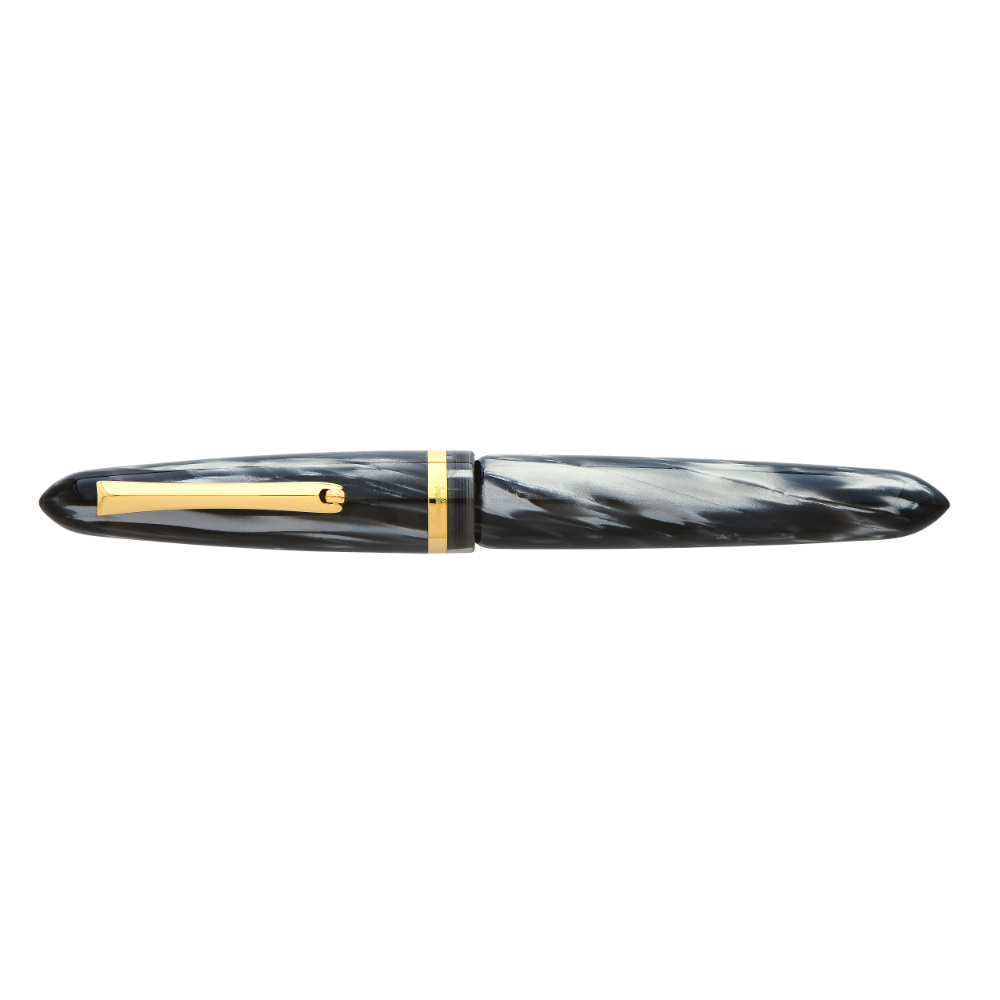 Montegrappa Venetia Pearl Grey Celluloid GT Fountain pen