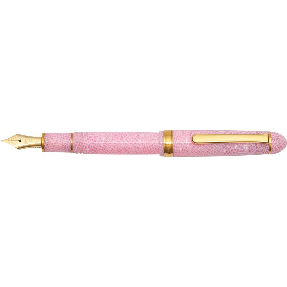 Platinum #3776 Century Celluloid Sakura Fountain pen