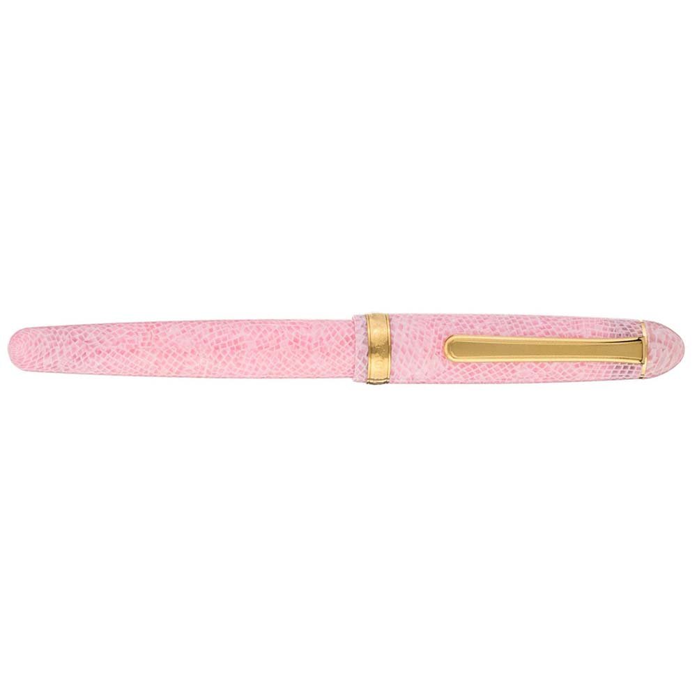 Platinum #3776 Century Celluloid Sakura Fountain pen