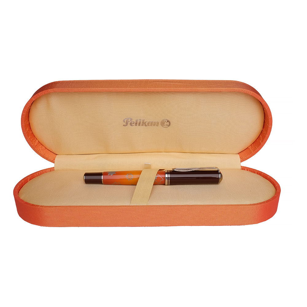 Pelikan Souverän M640 Indian Summer Fountain pen Pre-owned
