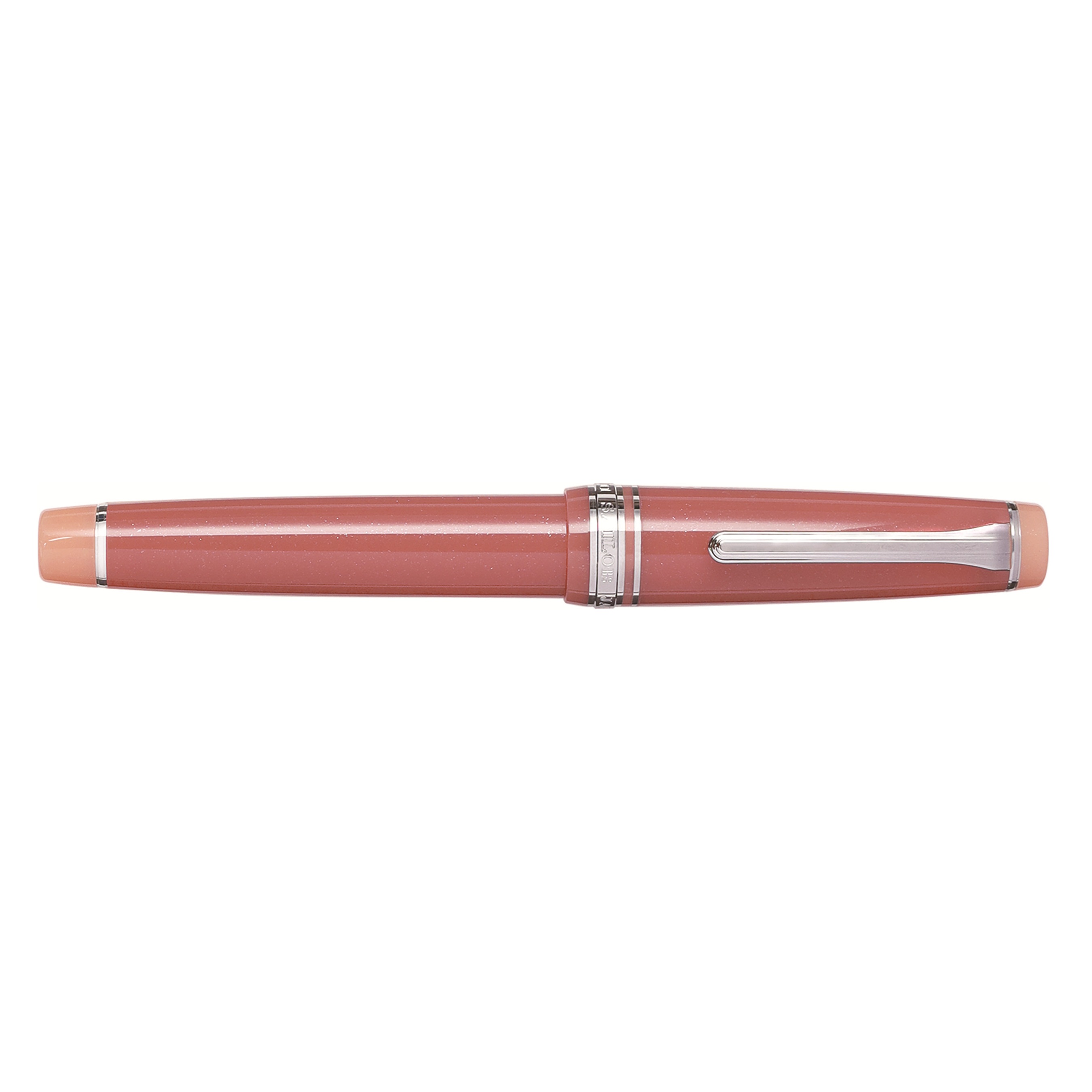 Sailor Pro Gear Regular Fountain Pen of the Seas Syvash RT Stylo plume