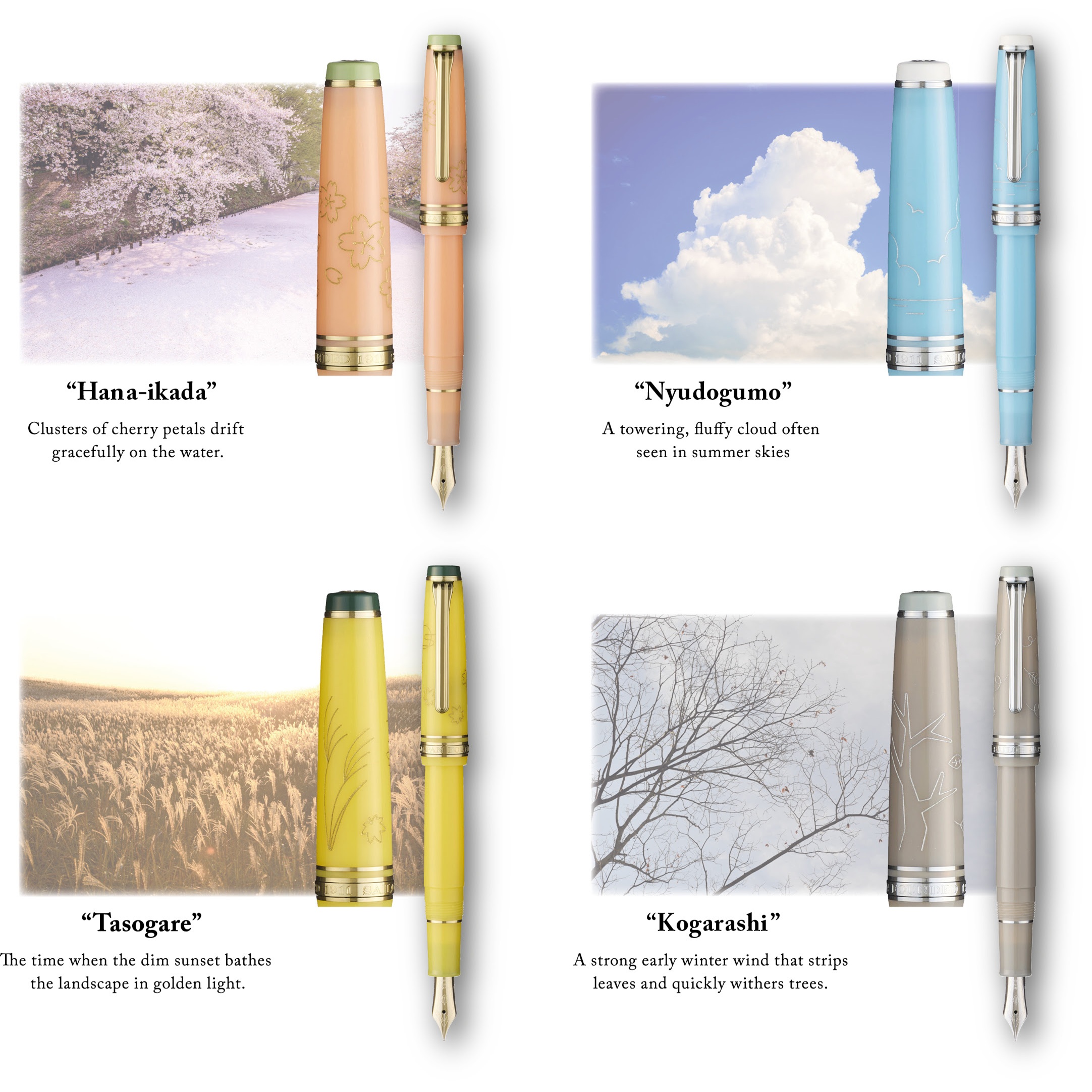 Sailor Pro Gear Slim Japanese Scenery Nyudogumo RT Fountain pen