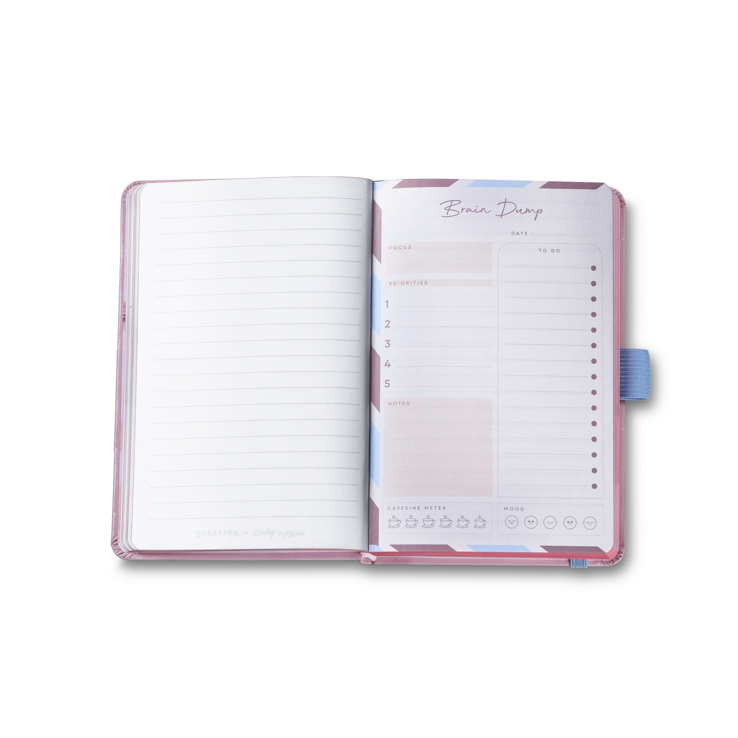 Sheaffer Sentinel Emily in Paris Matte Pink Bow ST Balpen and Notebook Set
