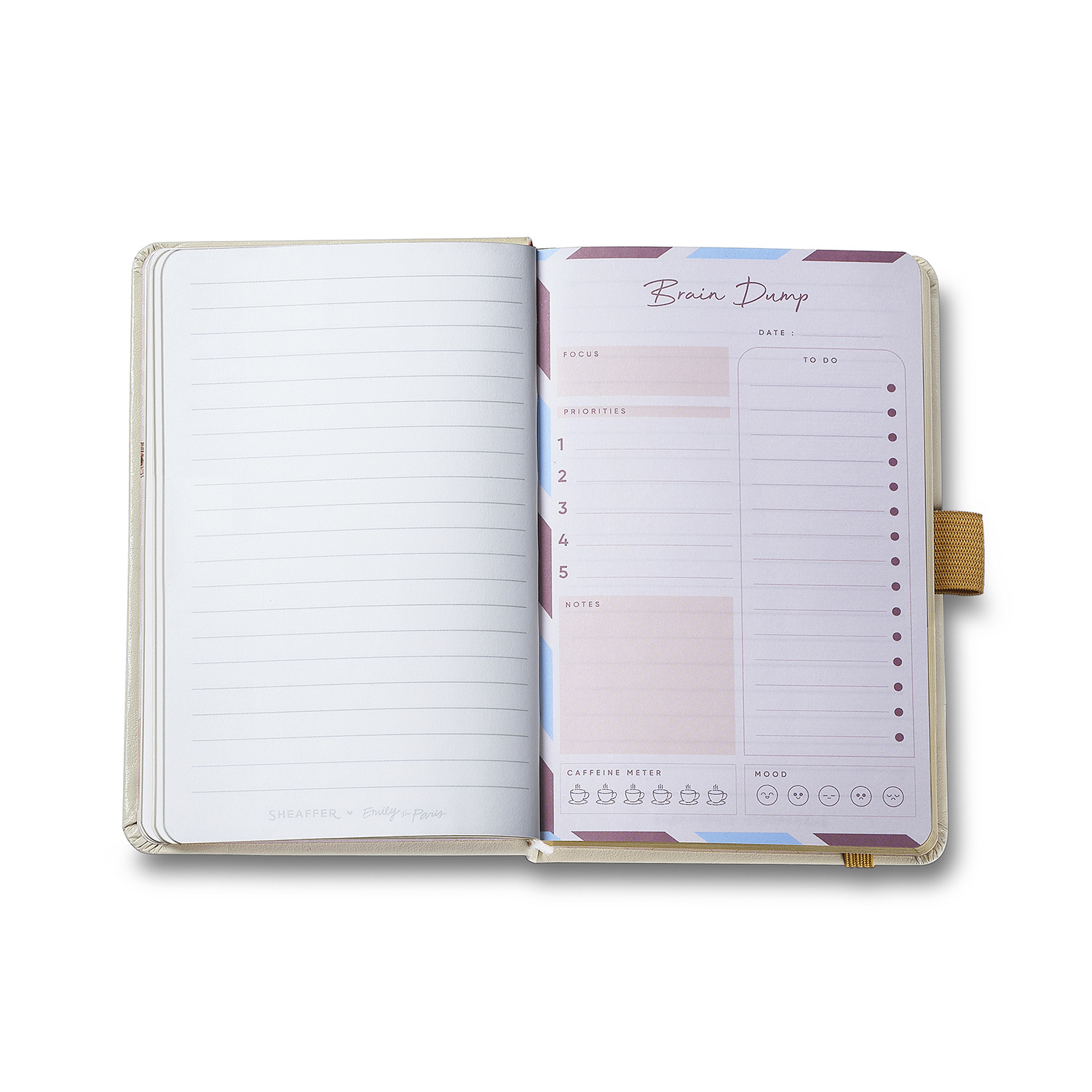 Sheaffer 100 Emily in Paris Champagne Gold GT Esferográfica and Notebook Set
