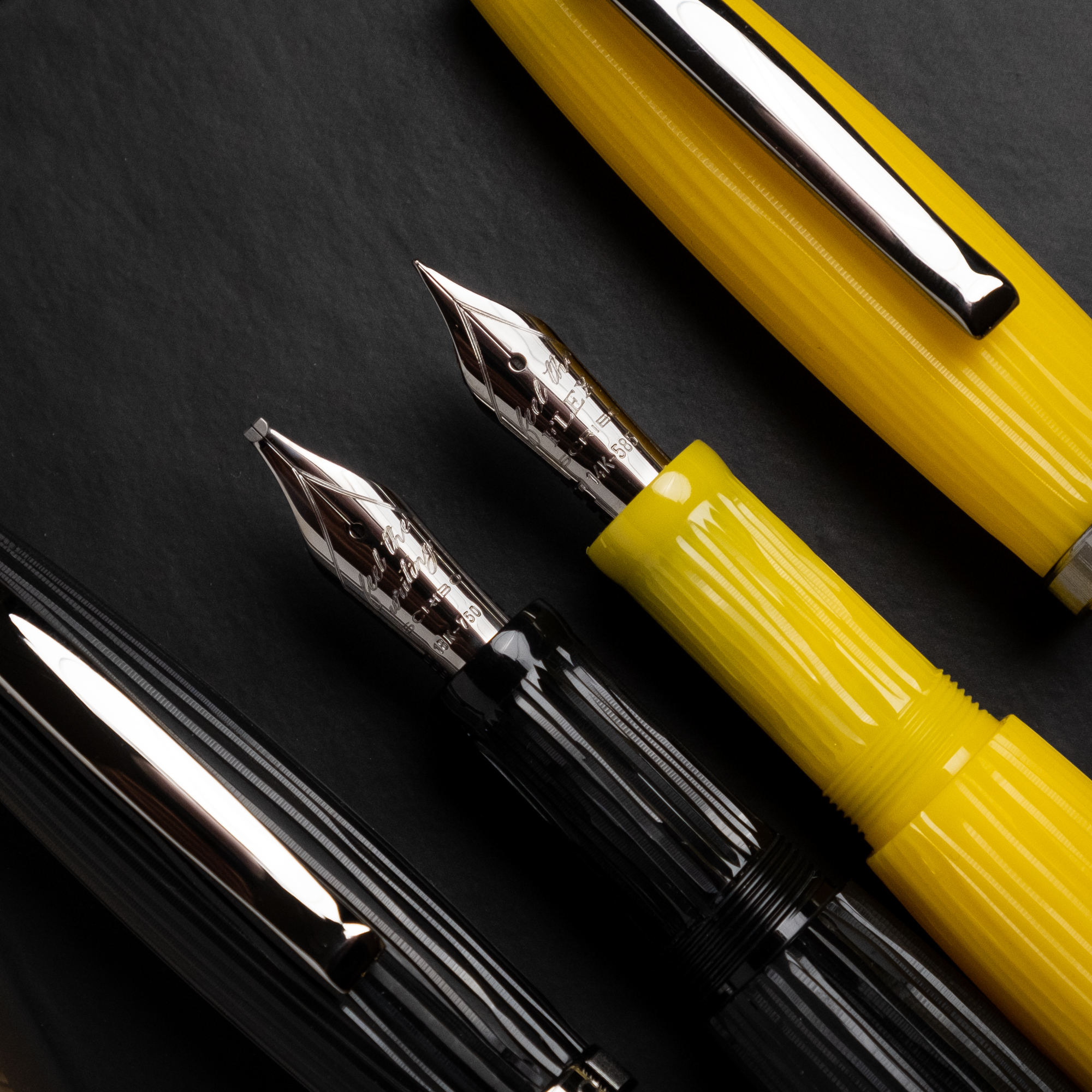 Scribo La Dotta Studiorum Vulpen