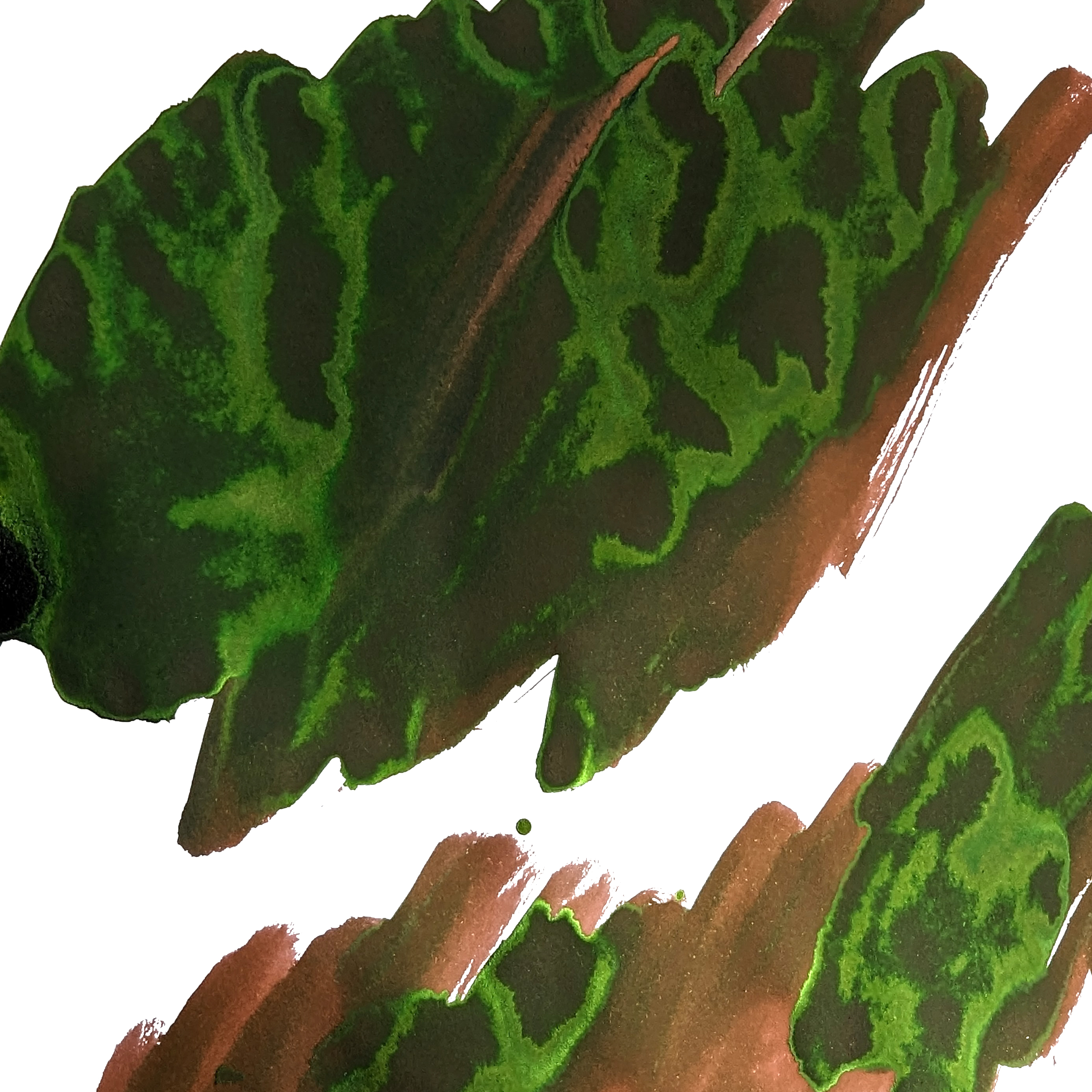 Van Dieman's Voyagers - Heemskerck and Zeehaen 30ml Ink Bottle