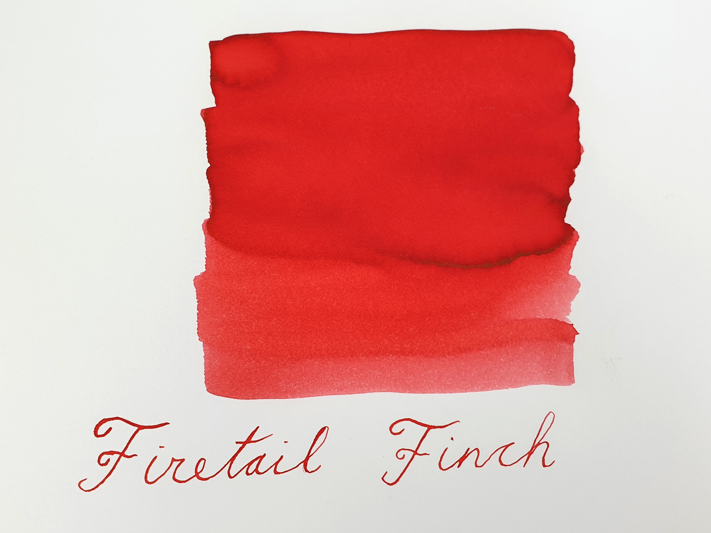 Van Dieman's Wilderness - Firetail Finch 30ml Frasco de tinta
